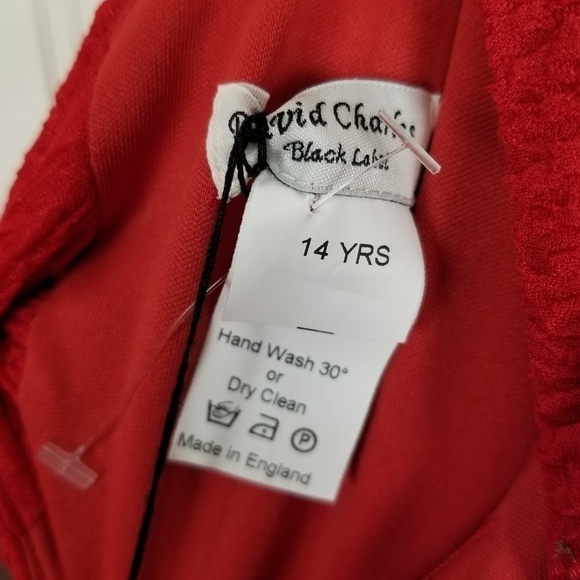 David Charles NWT Girls Sz 14 Yrs Full Skirt Sleeveless Textured Dress Bow Red - Picture 7 of 12